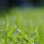 花粉症予防や対策のウワサの話