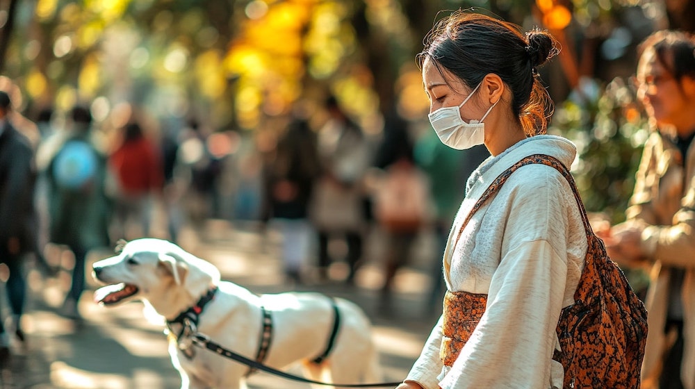 制度を超えて：障がい者が本当に求めている支援とは？